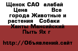 Щенок САО (алабай) › Цена ­ 10 000 - Все города Животные и растения » Собаки   . Ханты-Мансийский,Пыть-Ях г.